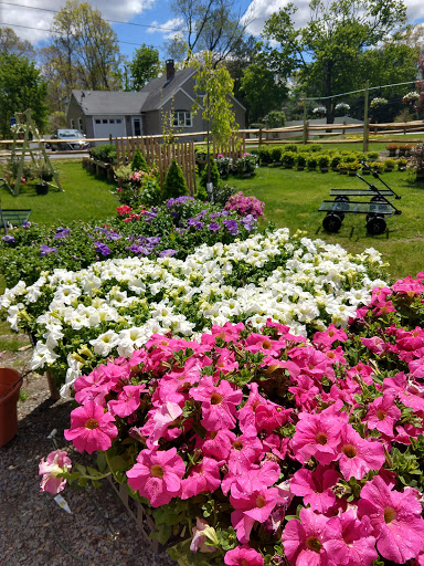 Vintage Gardens - Thumbnail
