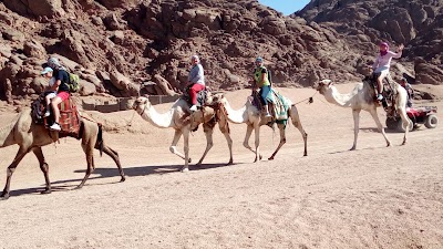 Photos of Aqua Blue Water Park Sharm Al Sheikh