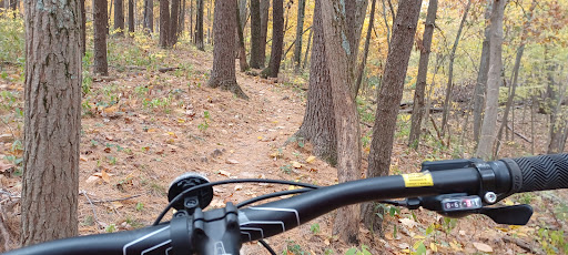 Route 66 Hike & Bike Trail at Lake Lou Yaeger - Thumbnail