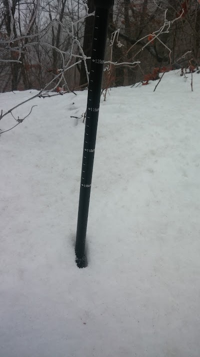 Photos of 양자산