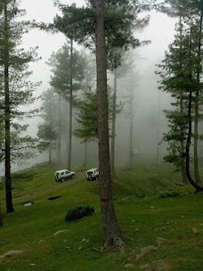 Barrian Murree