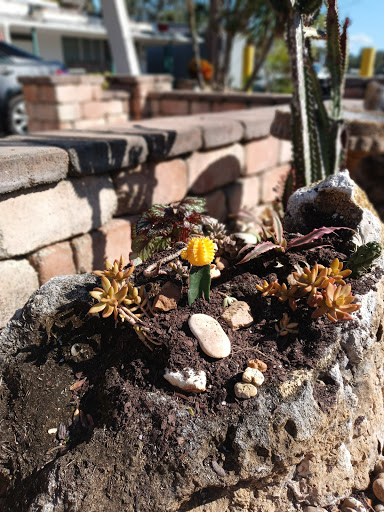 Silver River Inn - Thumbnail