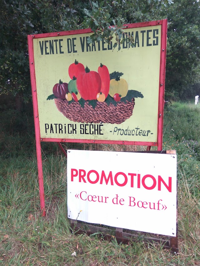 Patrick SÉCHÉ Producteur