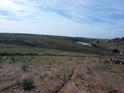 Photos of Domaine TA Agriculture