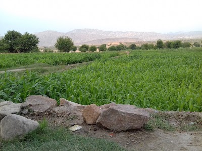 Paktika