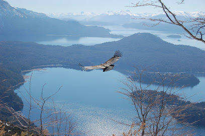 Piensamarketing Publicidad & Diseño