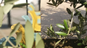 Photo n°46 de Maison Lavillete - Restaurant & Chambres d'hôtes en Vallée d'Ossau à Bielle (Chambre d'hôtes)