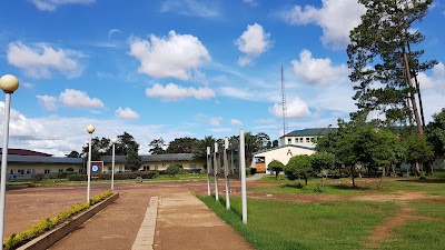 Photos of University Freedom Ul