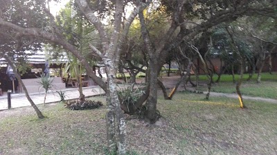 Photos of Macaneta Oasis Beach House