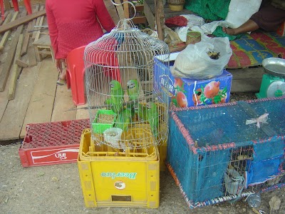 Photos of Lao Development Bank VangTao Service Unit