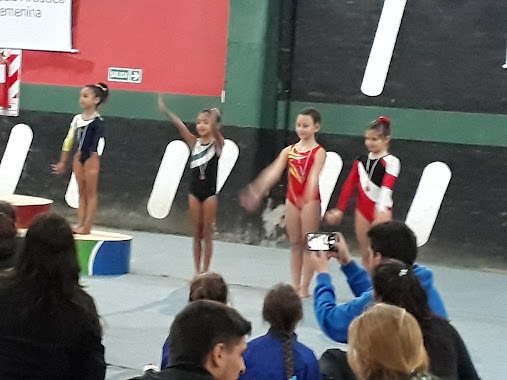 Federacion Entrerriana de Gimnasia, Author: Carolina Urtasun