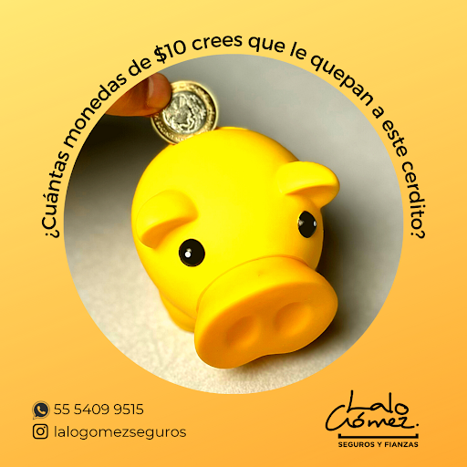 Lalo Gómez Agente de Seguros y Fianzas - Thumbnail