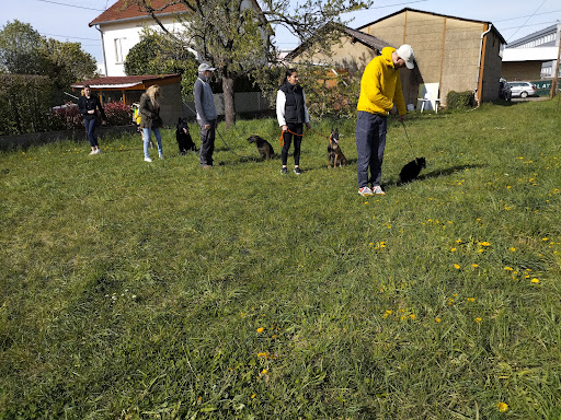 Centre Canin le Brin de Folie d'EASY