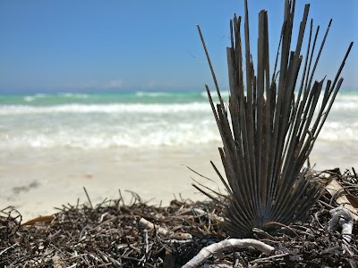 Photos of Playa Las Gaviotas