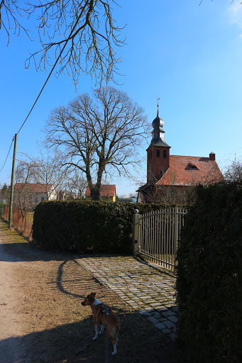 Dorfkirche Sophienstädt - Thumbnail