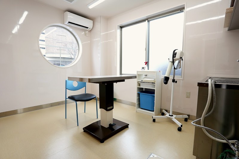 南が丘動物病院