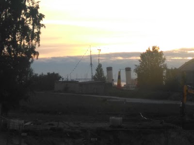 Photos of Noblessneri