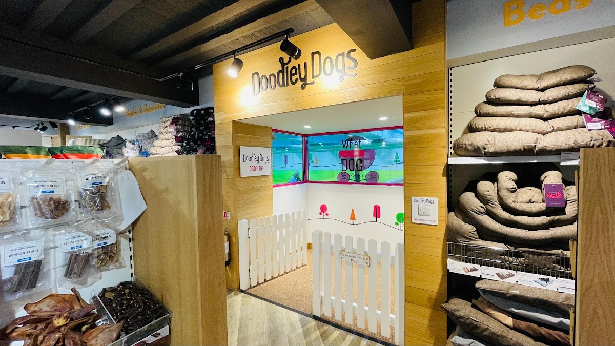 Pets Corner & Doodley Dogs Crawley interior