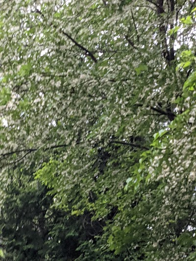 伊豆の国・養蜂園