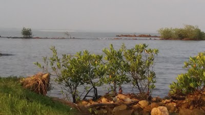 Photos of La Sirenita