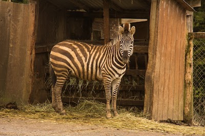 West Coast Game Park Safari