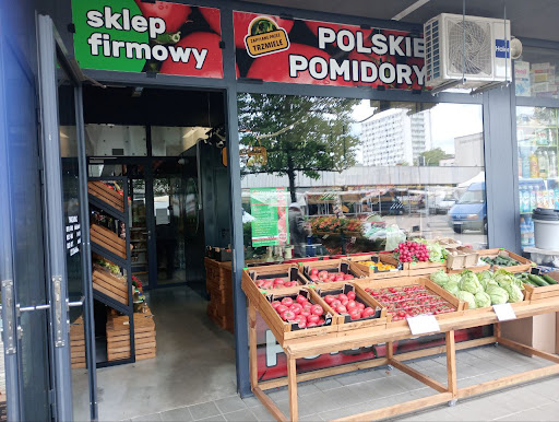 Pan Pomidor 🍅 Polskie pomidory