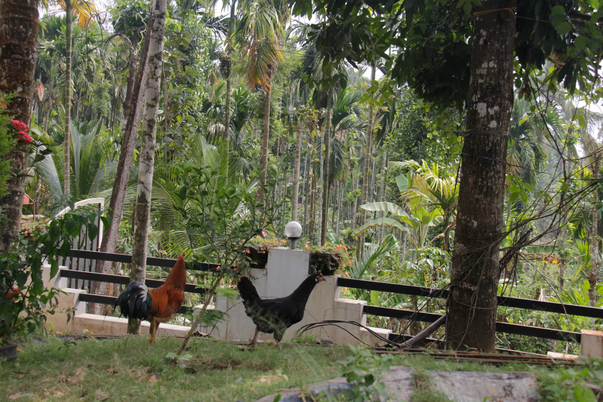 Wayanad Holiday Homes