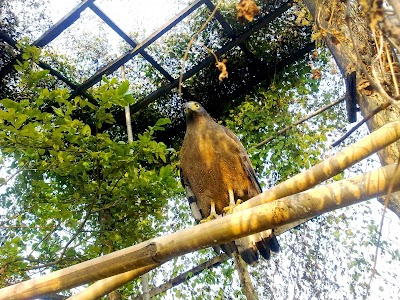 Photos of Jamunkhadi Zoo