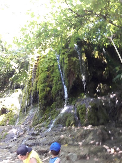 Photos of Green Moss Waterfall