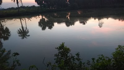 Photos of পুরান পুকুর