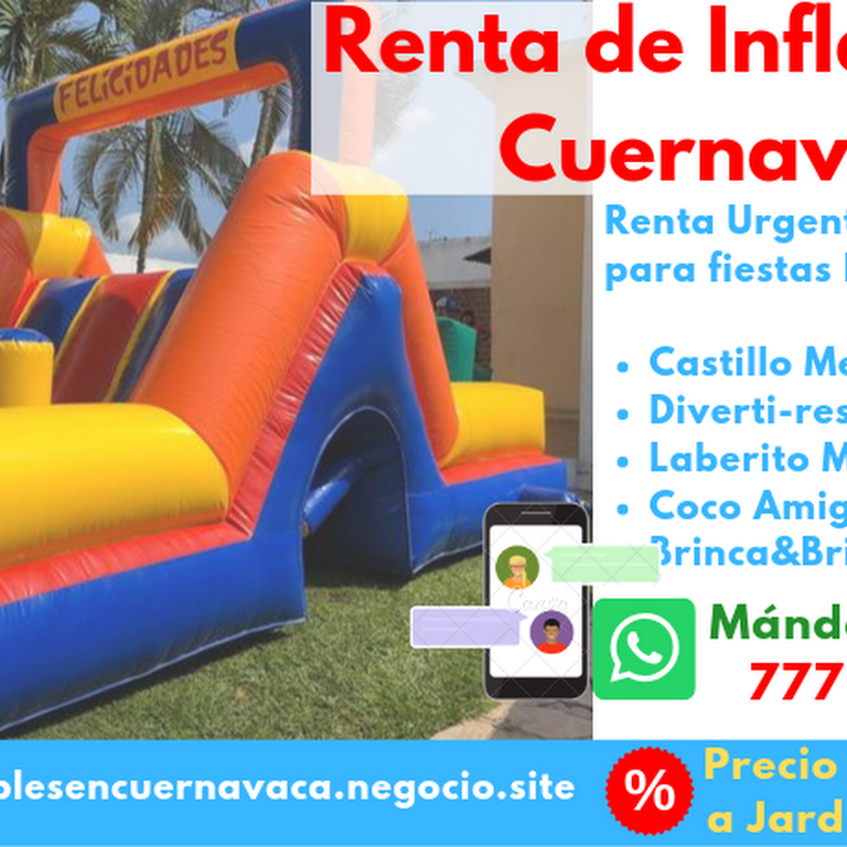 Campaña Impuestos Impresión Renta de Inflables en Cuernavaca - Servicio De Alquiler De Equipos Para  Fiestas