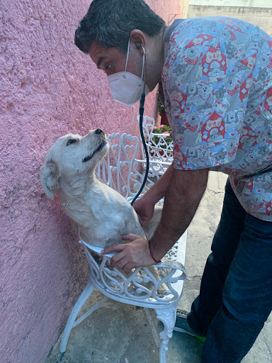 ZOO KARUBA Servicios Médicos Veterinarios