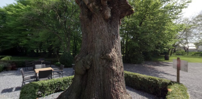 Reacties en beoordelingen van De Groote Hoef