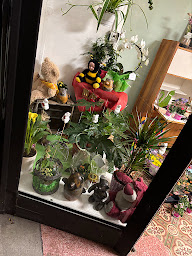 Photo n°14 de La petite fleuriste d Arles sur tech à Arles-sur-Tech (Fleuriste)