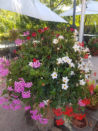 Photo n°28 de Chez Gaby à Eckbolsheim (Restaurant)