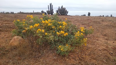 Photos of Camping Municipio De Canela, Playa