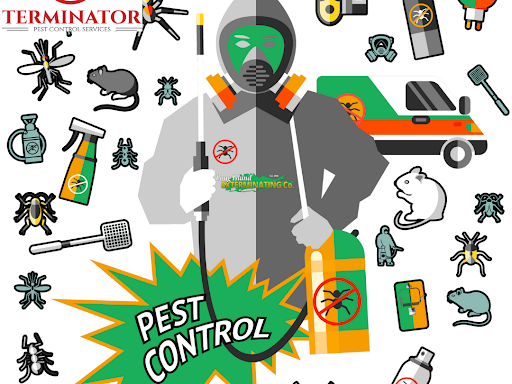 Update Preview