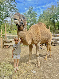 Photo n°3 de Les minis du Chalet à Sanry-lès-Vigy (Association agricole)