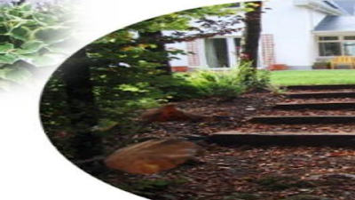 Photos of John McCarthy Landscaping Ltd.