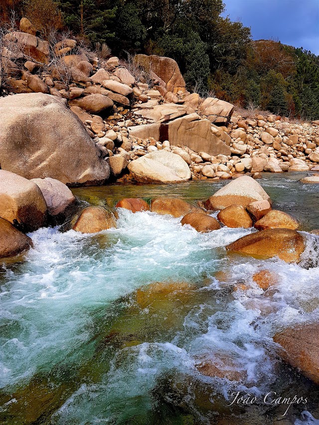 Mata da Albergaria (Gerês)