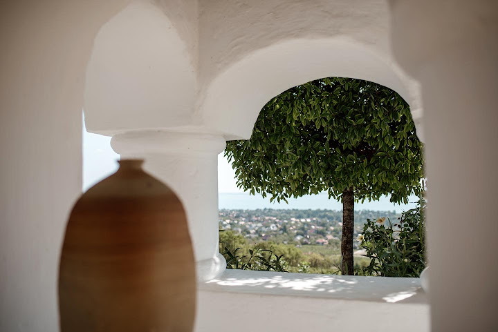 ST.DONAT Organic Wine Estate by null