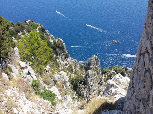 Tiberius' Leap