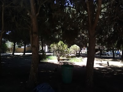 university