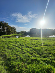 Photo n°15 de Les 5 Etangs à Brinon-sur-Sauldre (Chalet)