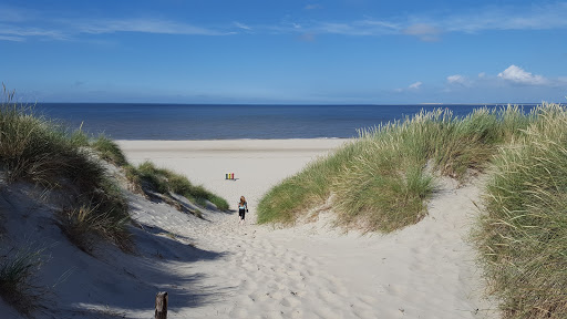 Stichting Rekreatiebelangen Vlieland - Thumbnail