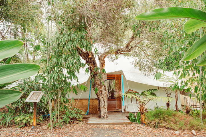 Wake Up! Byron Bay by null