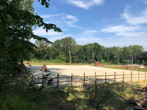 Photo n°5 de Elevage des Mas à Pringy (Écurie)