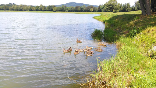 Satzdorfer See - Thumbnail