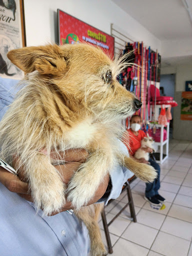 Veterinaria Pet's Medical Center