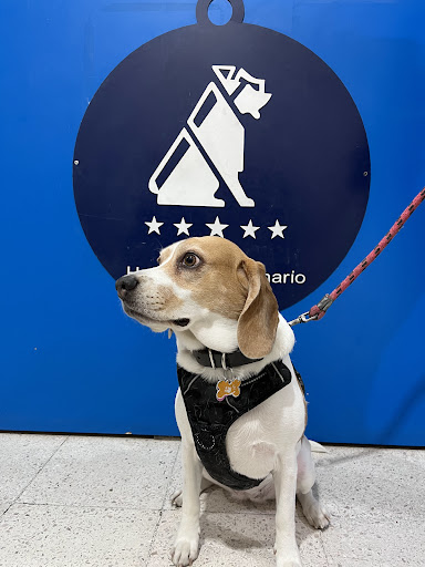 Clínica Veterinaria AzcaCenter